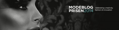 modeblogpris_wp_head